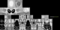/album/skinek-/hd-skin-1-png/